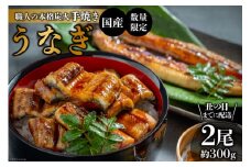 BF046【国産・数量限定】職人の本格炭火手焼きうなぎ2尾約300g【丑の日までに配送】