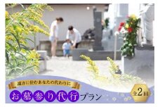 AF054遠方に住むあなたの代わりに　お墓参り代行プラン（全2回）