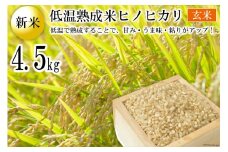 BE110【新米】低温熟成米（ヒノヒカリ・玄米）　4.5kg(米袋×1袋)