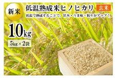 BE112【新米】低温熟成米（ヒノヒカリ・玄米）　10kg(米袋×2袋)