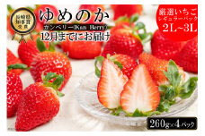 【期間限定発送】CF106 長崎県知事賞受賞【 厳選 いちご 】「 ゆめのか （2L～3L）」 260g × 4パック ＜12月までにお届け＞