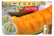 CF108【令和7年度出荷分】マルセイユメロン～島原風香～（4L×2玉）[メロン 赤肉 果物 くだもの フルーツ 産地直送 長崎県 島原市]