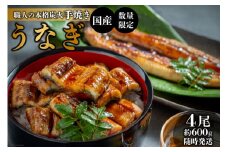 AF116【国産・数量限定】職人の本格炭火手焼きうなぎ4尾約600g【随時発送】