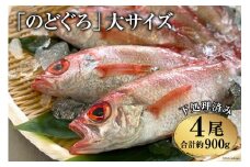 EF090「のどぐろ」大サイズ（200～250g） 4尾　＜煮付け・塩焼き用＞