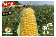 AF158　11月中旬から出荷！「朝どれスイートコーン！」B級品15本以上4.5kg【全国的にも珍しい秋季出荷】