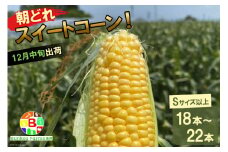 AF161　12月17日から出荷！「朝どれスイートコーン！」Sサイズ以上×18～22本セット【クリスマス とうもろこし】