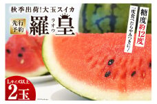BF164【令和7年度出荷分】秋季出荷！大玉スイカ～羅皇（ラオウ）～（Lサイズ6kg以上×2玉入）[先行予約 数量限定 すいか スイカ 西瓜 フルーツ 果物 長崎 長崎県 島原市]