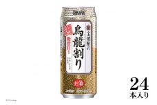 BF167宝焼酎の烏龍割り 480ml 24本入