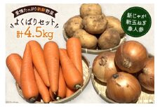 【令和7年度出荷分】AF156 新じゃがいも・新玉ねぎ・春人参のよくばりセット