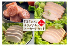 BD212島原工房サラダチキン・ソーセージセット