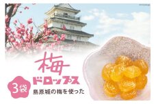 DF228【長崎限定】島原城の梅を使った「梅ドロップス」 3袋  [ あめ 飴 梅 うめ ウメ 限定 サクマドロップス コラボ 3袋 長崎県 島原市 ]