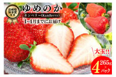【期間限定発送】EA050 長崎県知事賞受賞【 大玉 いちご 】「 ゆめのか （3L～5L）」265g×4パック ＜1～4月にお届け＞ レビューキャンペーン