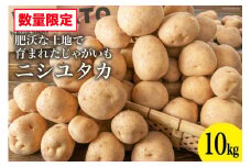 AG092 【令和8年度出荷分】肥沃な土地で育まれた じゃがいも （ニシユタカ）＜数量限定＞ 