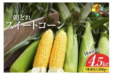 BG035　【令和8年度出荷分】5月下旬から出荷！ 朝どれ スイートコーン 200g以上×18本以上 4.5kg ～名水百選の里 島原産～