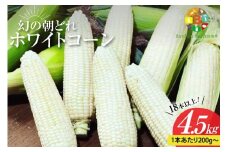BG036 【令和8年度出荷分】6月中旬から出荷！ 幻の朝どれ ホワイトコーン 200g以上×18本以上 4.5kg ～名水百選の里 島原産～