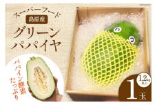 AG058【数量限定】島原産 グリーンパパイヤ 1.2kg以上×1玉