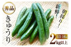 AG063【令和7年度出荷分】【秀品】新鮮 朝採りきゅうり 2kg以上