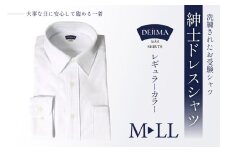 CE148-02 紳士ドレスシャツ（レギュラーカラータイプ）Lサイズ MN-S001 日本製　DEJIMA　SHIRTS