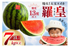 BG059【令和8年度出荷分】絶品！大玉スイカ～羅皇（ラオウ）～（7～10kg）[先行予約 数量限定 すいか スイカ 西瓜 フルーツ 果物 長崎 長崎県 島原市]