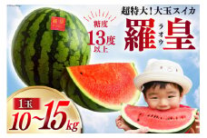 AG060【令和8年度出荷分】超特大！大玉スイカ～羅皇（ラオウ）～（10～15kg）[先行予約 数量限定 すいか スイカ 西瓜 フルーツ 果物 長崎 長崎県 島原市]