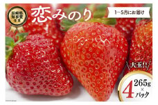 【期間限定発送】CG069 長崎県知事賞受賞【 大玉 いちご 】「 恋みのり (3L～5L)」265g×4パック ＜1～5月にお届け＞ レビューキャンペーン