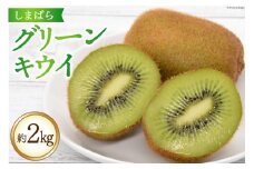 AG077【令和7年度出荷分】 数量限定 しまばら グリーンキウイ 約2kg