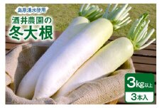 AG080 酒井農園の冬大根 3kg以上（3本入）