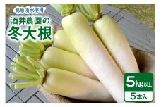 AG081 酒井農園の冬大根 5kg以上（5本入）