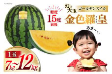 BG075【令和8年度出荷分】幻のゴールデンスイカ！～金色羅皇（ラオウ）～（7～12kg） [先行予約 数量限定 すいか スイカ 西瓜 フルーツ 果物 長崎 長崎県 島原市]