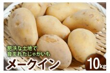 BG109 【令和8年度出荷分】肥沃な土地で育まれた じゃがいも （メークイン）＜数量限定＞