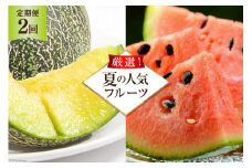 AG131【全2回】厳選！夏の人気フルーツ定期便