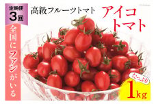 AG136【3回定期便】全国にファンがいる高級フルーツトマト アイコ たっぷり！1kg