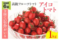 AG137【6回定期便】全国にファンがいる高級フルーツトマト アイコ たっぷり！1kg