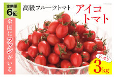 BG139【6回定期便】全国にファンがいる高級フルーツトマト アイコ どっさり！3kg [トマト フルーツトマト 3キロ 定期 山口農園 長崎県 島原市]