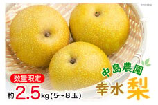 BH004 【令和7年度出荷分】【数量限定】 幸水梨 約2.5kg（5玉～8玉）[新鮮 農家直送 夏の味覚 贅沢宝庫 フルーツ]