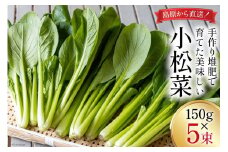 【BH012】小松菜 150g×5束