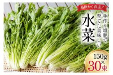 CH017 水菜 150g×30束