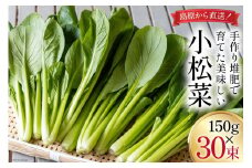 CH014 小松菜 150g×30束