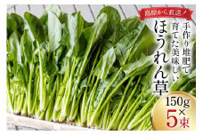 【BH009】ほうれん草 150g×5束
