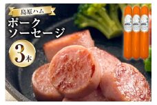 【BH020】 島原ハム　ポークソーセージ3本セット 【 卵不使用 アレルギー ハム ソーセージ 島原市 】 レビューキャンペーン
