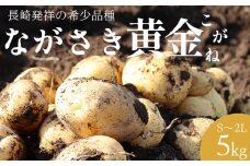 【AH048】【希少品種】ながさき黄金じゃがいも 約5kg S〜2Lサイズ混合