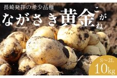 【AH049】【希少品種】ながさき黄金じゃがいも 約10kg S〜2L サイズ混合