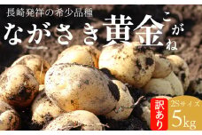 【AH050】【訳あり数量限定】ながさき黄金じゃがいも 約5kg
