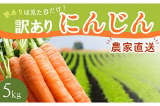【AH051】【訳あり】堀農園のこだわり人参 約5kg