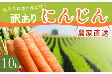 【AH052】【訳あり】堀農園のこだわり人参 約10kg