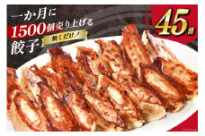 【AH019】 焼くだけ！一か月に1500個売り上げる餃子 45個（15個×3パック）