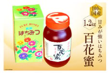 BH073 国産はちみつ 1.2kg（百花蜜）[ 国産 甘い はちみつ 蜂蜜 村木養蜂場 長崎県 島原市 ]