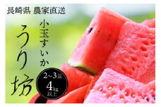 BH077 【ハウス栽培限定】前田ファームから直送！小玉スイカ うり坊 約4kg [ 小玉 スイカ すいか 野菜 果物 夏野菜 長崎県 島原市 ]
