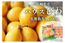 AH093 【期間限定発送】長崎県産 ハウスびわ 約500g 化粧箱入り [ フルーツ 果物 くだもの びわ ビワ 枇杷 数量限定 季節限定 初夏 冷蔵 長崎県 島原市 ]
