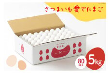 AH100 【業務用】さつまいも愛でたまご 5kg　【 島原市 業務用 直送 卵破損補償 】